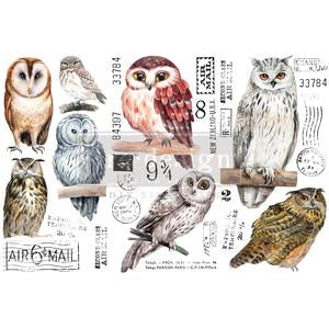 Re-Design Decor Transfers - Owl